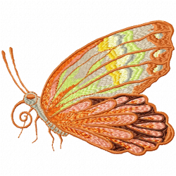 Butterfly Embroidery Design 5 Butterfly Embroidery Design 5